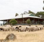 Gilgraves Vineyard Farmstay - Adwords Guide