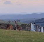 Rooks Edge - Ad words