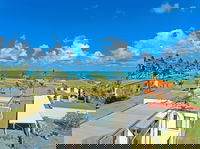 Driftwood On The Beach