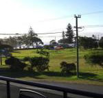 Dolphin Court 1 1 Gowing Street - Adwords Guide