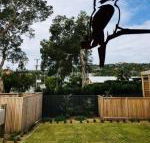 Pacific Terraces 2 38 Pacific Street - Adwords Guide