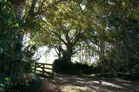 Business in Maleny QLD Adwords Guide Adwords Guide