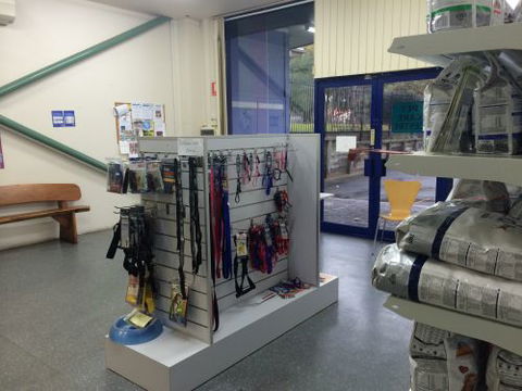 Shellharbour Veterinary Clinic - Adwords Guide 4