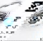 Optikus Optometrists - Ad Words Australia