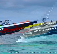Noosa Jet Boat - Adwords Guide