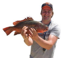 Noosa Fishing  Crab Adventures - Adwords Guide