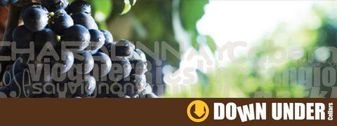 Down Under Cellars - Adwords Guide 1