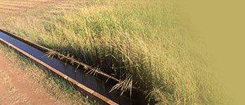 Rural Pumping Solutions - Adwords Guide 0