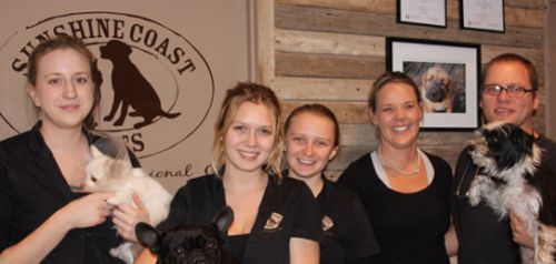 Sunshine Coast Vets