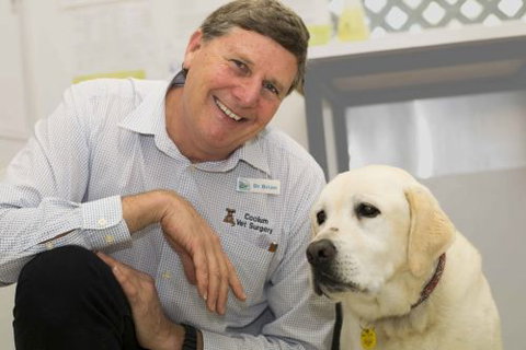 Peregian Beach Veterinary Rooms - Adwords Guide 1