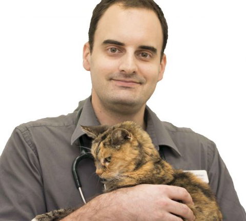 Peregian Beach Veterinary Rooms - Adwords Guide 3