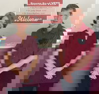 Bowen Road Vets - Adwords Guide