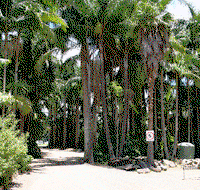 T  G Sand  Gravel - Ad Words Australia