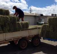 Proserpine Rural - Adwords Guide