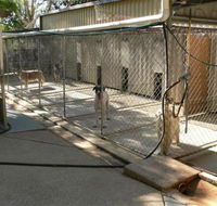 Eumundi Pet Resort - Adwords Guide