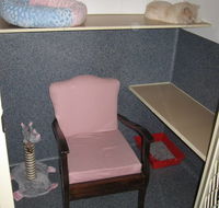 Hunter Pet Motel - Adwords Guide