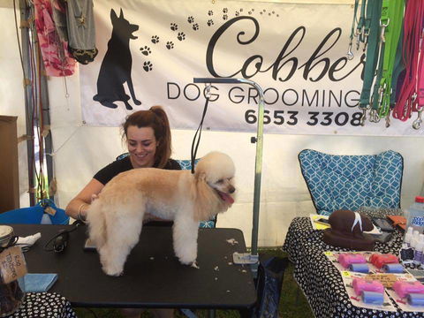 Cobbers Dog Grooming Salon - Adwords Guide 1