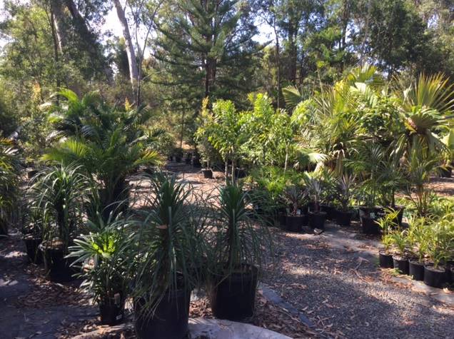 Cooroibah QLD Adwords Guide