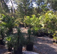 Noosaville Garden Centre Cooroibah Park Landscapes - Adwords Guide