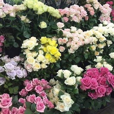 Allora Rose Gardens - Adwords Guide 3