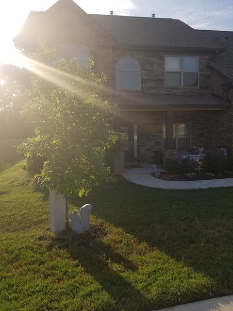 AJODA - Adwords Guide 5