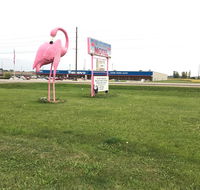 Flamingo Motel Marshalltown