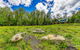 Eaglet Log Home - thumb 2