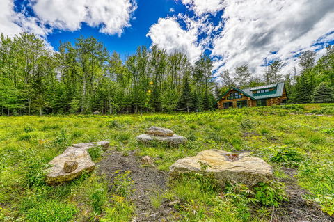 Eaglet Log Home - Adwords Guide 2