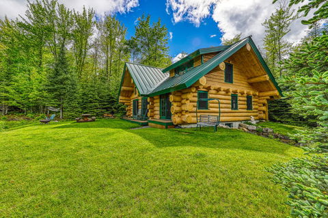 Eaglet Log Home - Adwords Guide 0