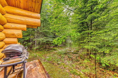 Eaglet Log Home - Adwords Guide 27