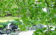 J. D. Thompson Inn Bed And Breakfast - thumb 6