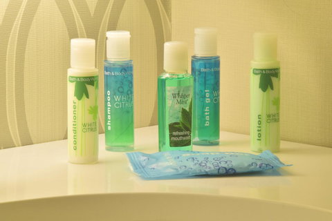 Holiday Inn Express Brooklyn - Adwords Guide 4