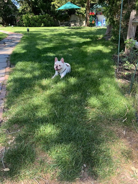 Gansett Green Manor - Adwords Guide 26