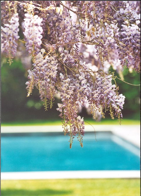 The Baker House 1650 - Adwords Guide 1