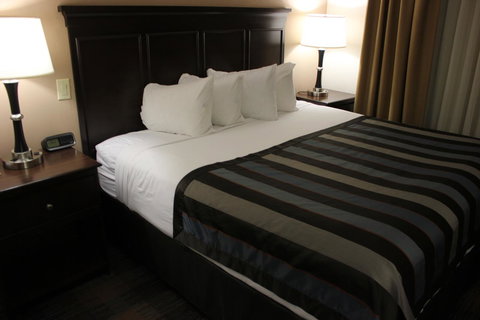 Wingate By Wyndham - Charlotte Airport South I-77 At Tyvola - Adwords Guide 3