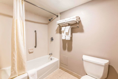 CLARION INN AND SUITES LAKE NORMAN - Adwords Guide 43