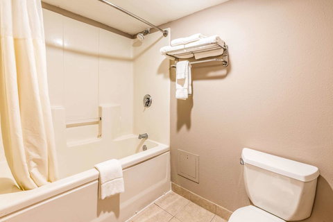 CLARION INN AND SUITES LAKE NORMAN - Adwords Guide 39