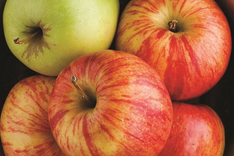 La Quinta By Wyndham Grand Forks - Adwords Guide 3