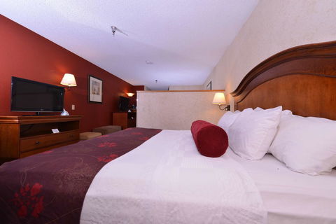 Best Western Plus Rama Inn - Adwords Guide 25