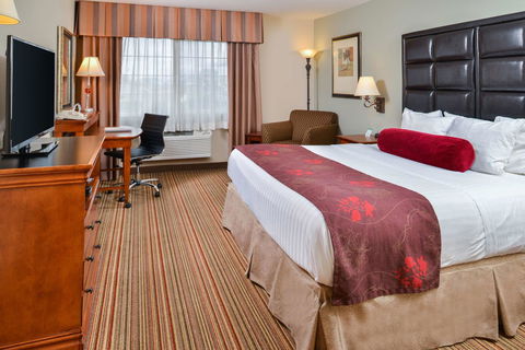 Best Western Plus Rama Inn - Adwords Guide 12