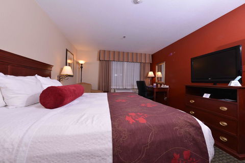 Best Western Plus Rama Inn - Adwords Guide 29