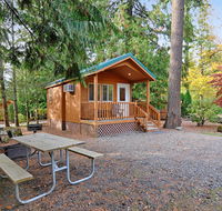 Mount Hood Village Deluxe Cabin 8