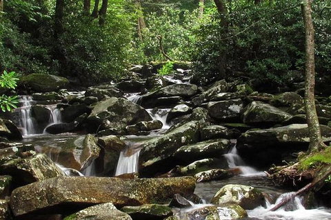 2903 Abundantly Blessed - Adwords Guide 3