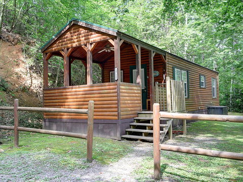 A Cherry Bloom - Adwords Guide 0