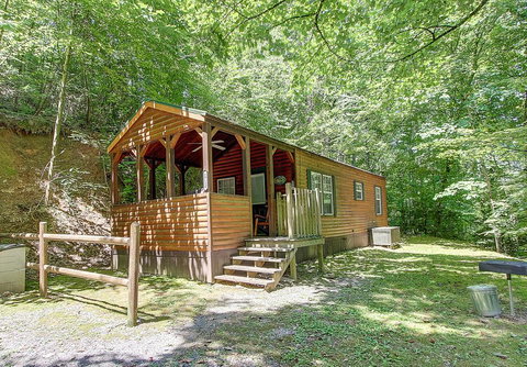 A Cherry Bloom - Adwords Guide 1