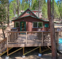 BeetleBark Bungalow