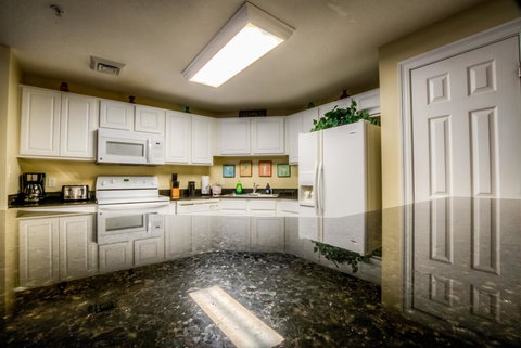 Calypso 1-209 By ZIA VR - Adwords Guide 0