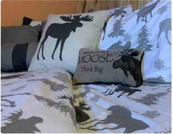 Book Mott Accommodation Vacations Adwords Guide Adwords Guide