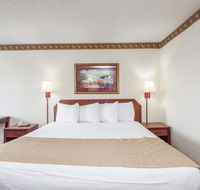 Knights inn