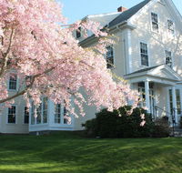 The Beech Tree BB